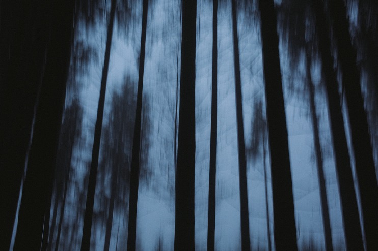 dark web markets reddit 2025