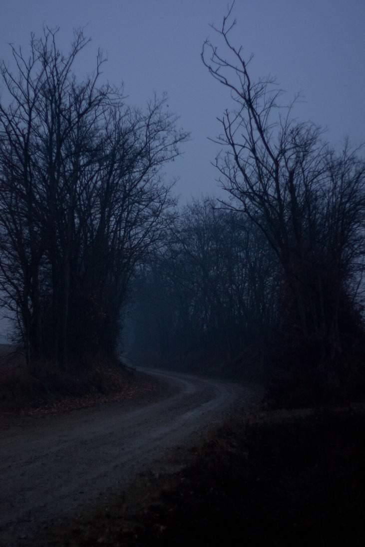 dark markets croatia