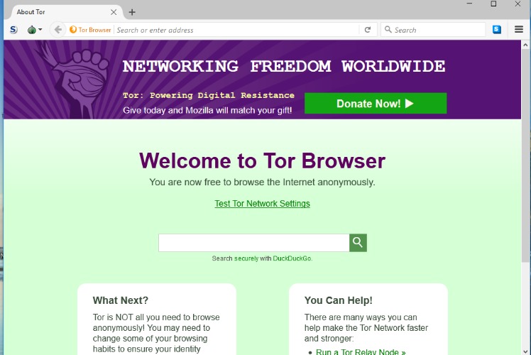 how do i access the dark web