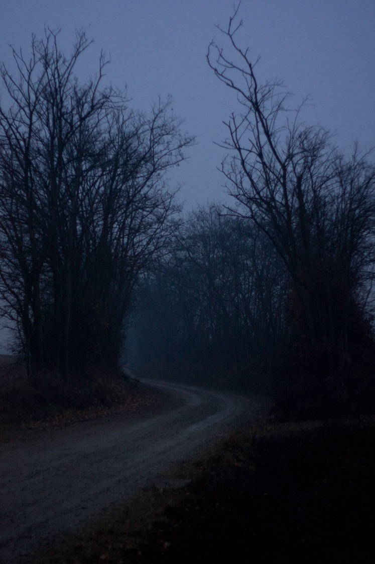 dark web drug markets