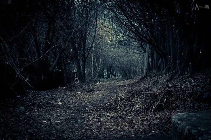 dark web markets reddit