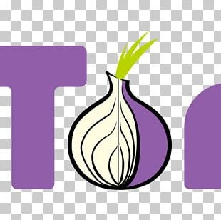 dark web onion links