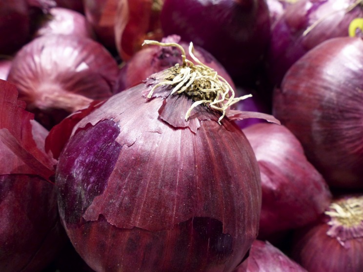 onion links 2025