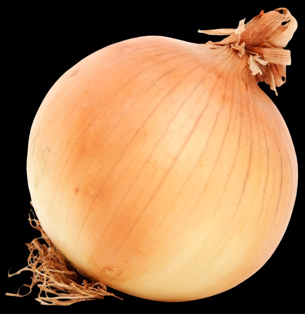 onion links 2025