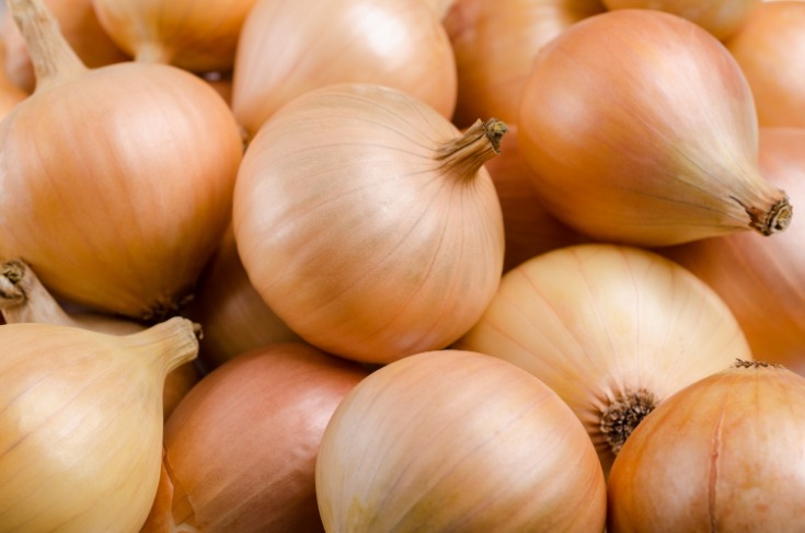 onion links 2025
