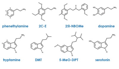phenethylamine drugs
