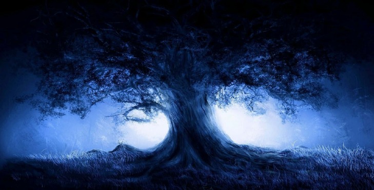 dark web markets 2025