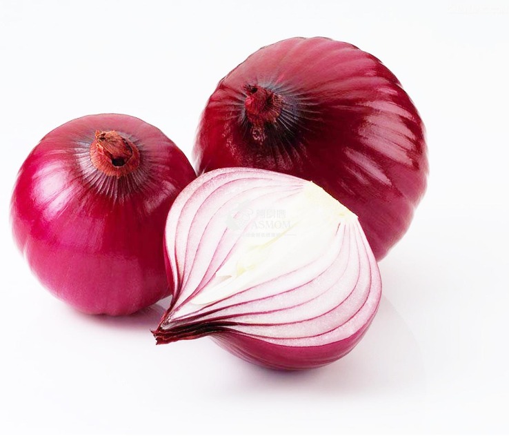 onion link search engine