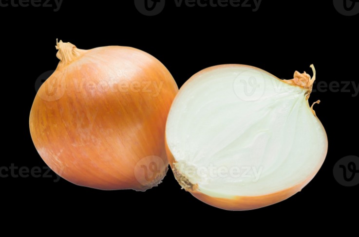 onion links credit card