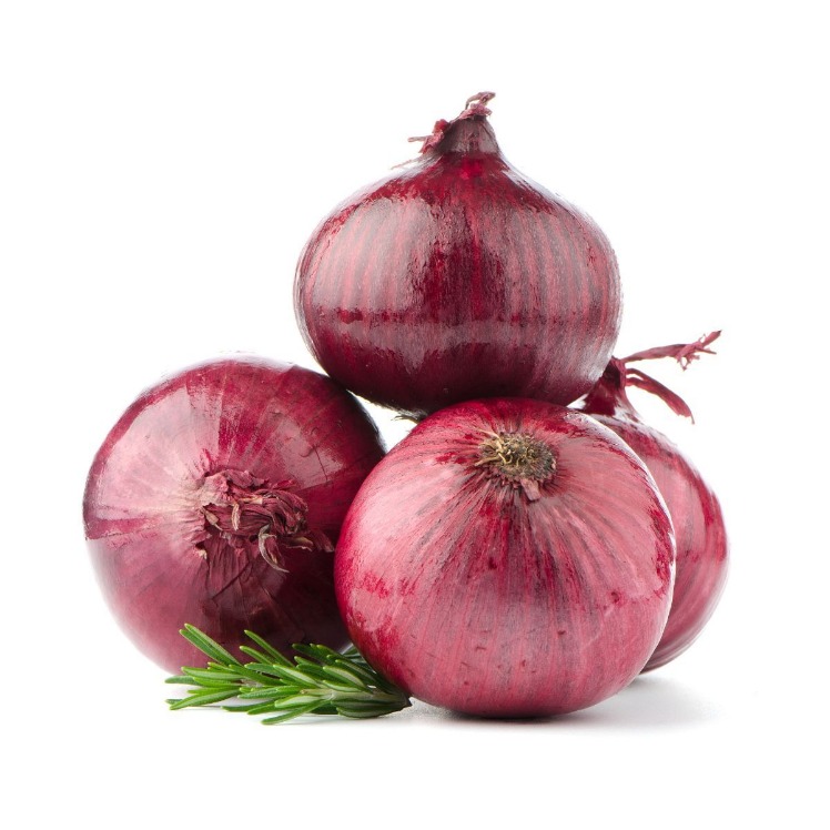 onion links credit card