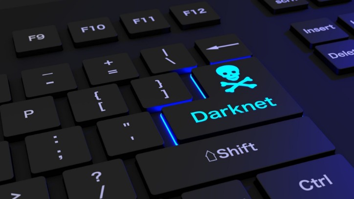 darknet telegram group