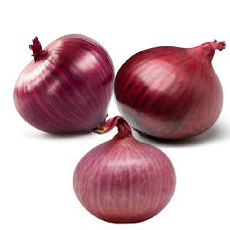 onion directory