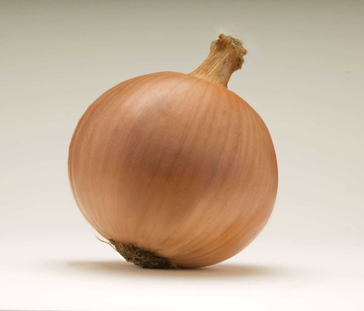 onion directory