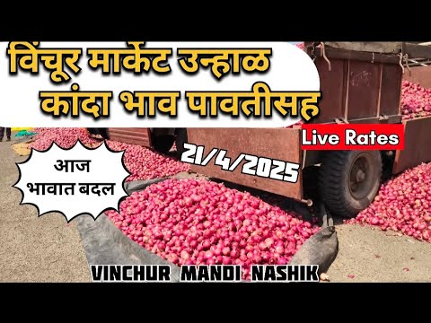 live onion market