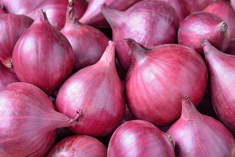 onion links
