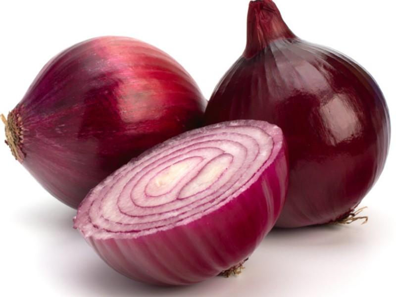 onion directory
