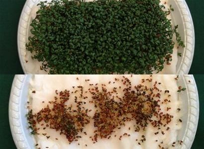 does xfinity wifi affect darknet market