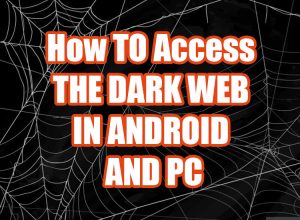 how to access the darkweb