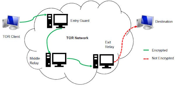 how to accsess the dark web