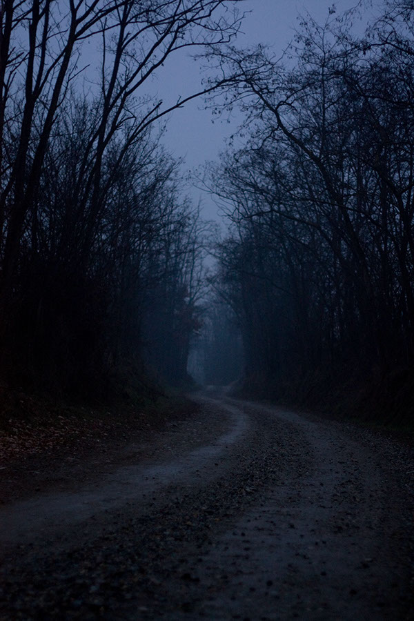 dark markets slovakia